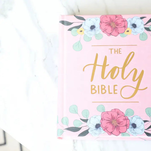 The Holy Bible ESV Journaling