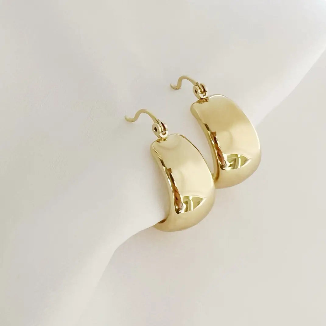 Noah Chunky Earrings